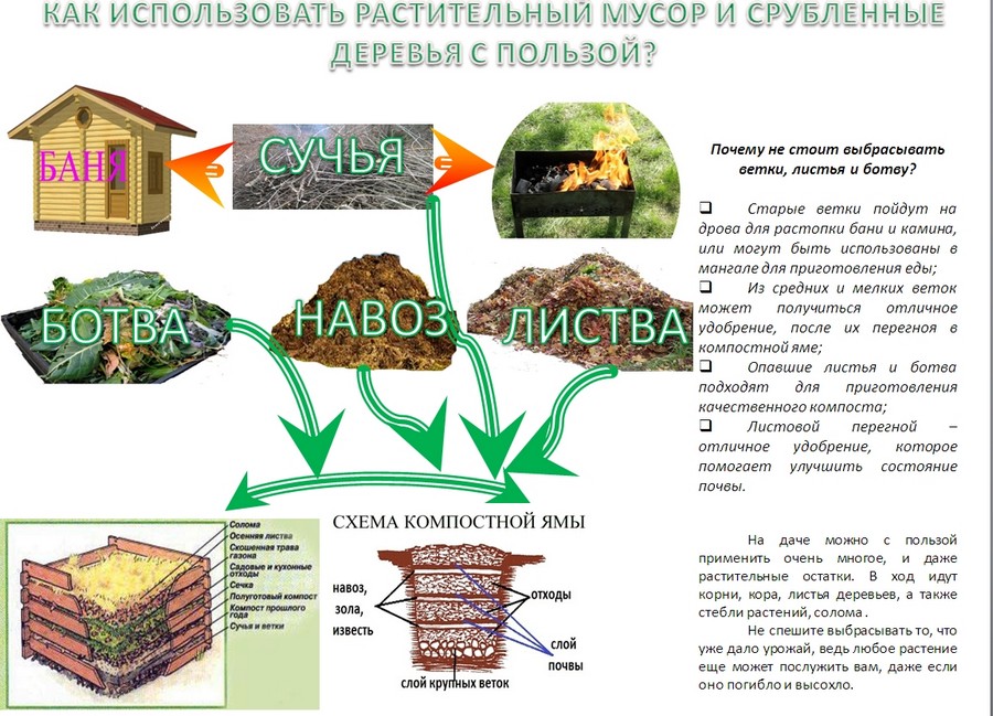 Открыть оригинальное изображение